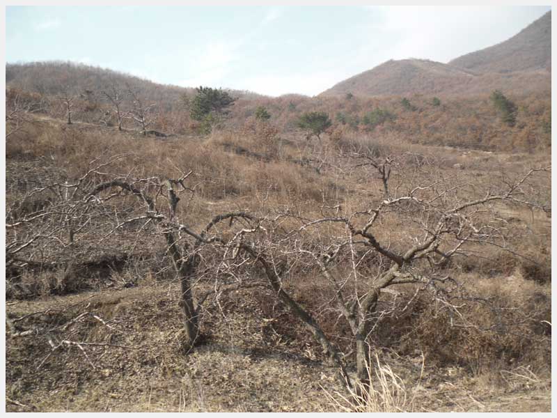 21̖ �������R�L�(zh��n)ʯ�����֙�(qu��n)